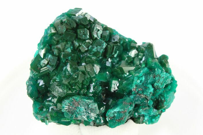 Lustrous Dioptase Crystal Epimorph - Republic of the Congo #312409